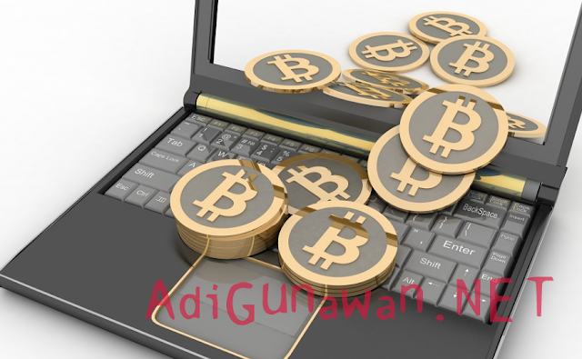 Software dan Aplikasi Wallet Cryptocurrency Terbaik