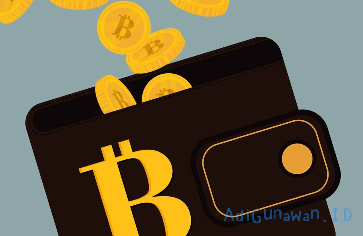 Fakta Menarik yang Wajib Diketahui Sebelum Beli Bitcoin