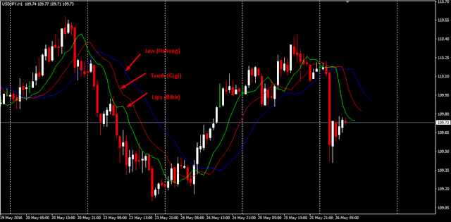 Cara Profit Trading Forex dengan Indikator Alligator & Alligator Price