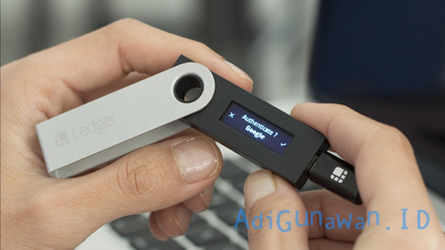 Panduan Wallet Ledger Nano S Indonesia